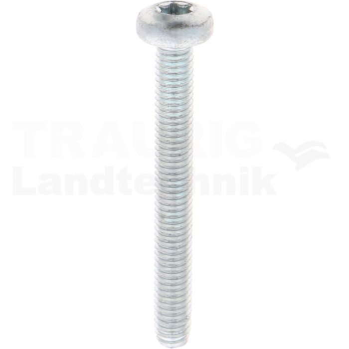 Gewindefurchende Schrauben M6x50 DIN7500
