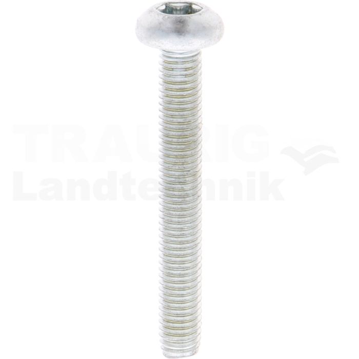 Gewindefurchende Schrauben M8x55 DIN7500