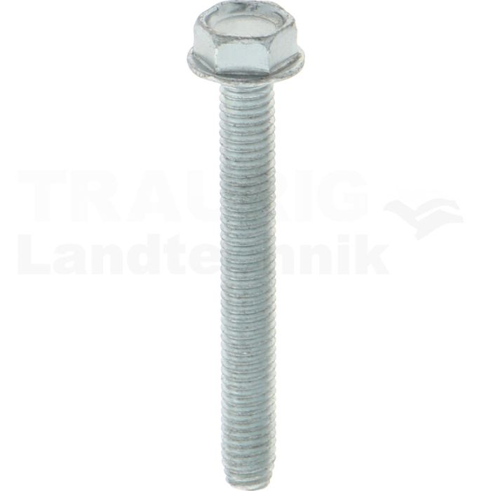 Gewindefurchende Schrauben M5x40 DIN7500