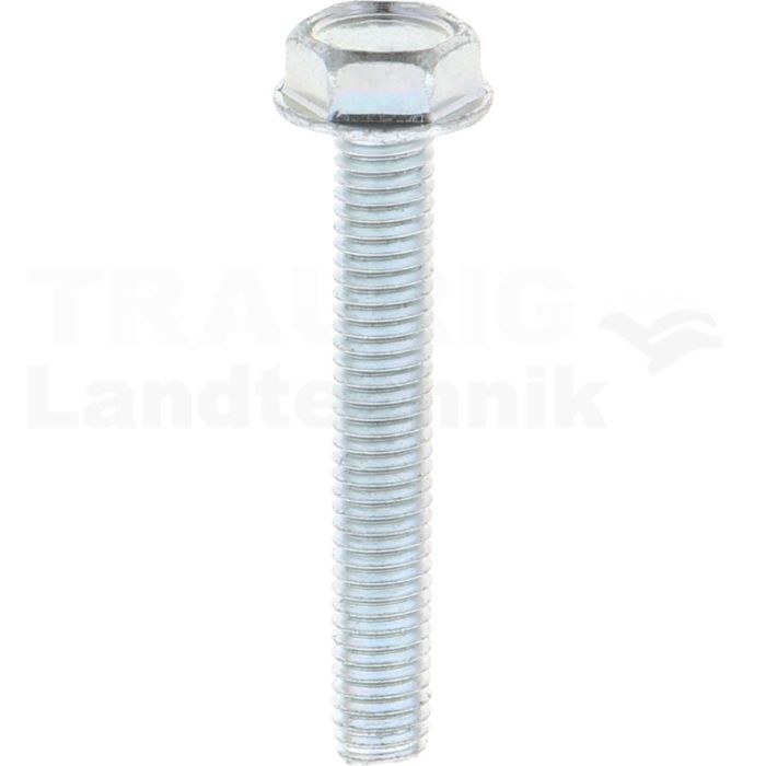 Gewindefurchende Schrauben M6x40 DIN7500