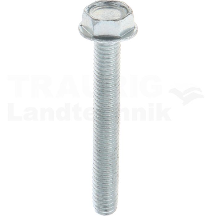 Gewindefurchende Schrauben M6x45 DIN7500