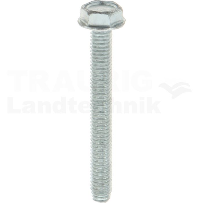 Gewindefurchende Schrauben M6x50 DIN7500