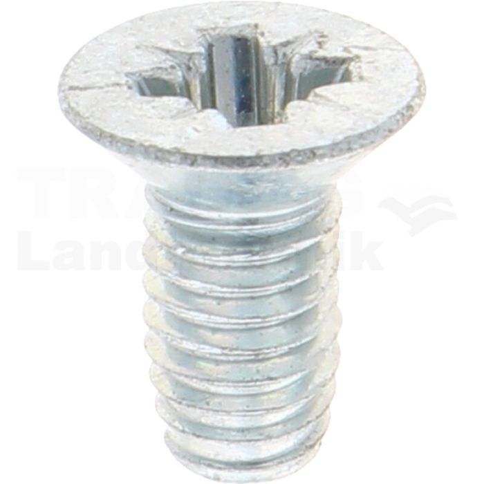 Gewindefurchende Schrauben M6x12 DIN7500 Gewindefurchende Schrauben M6x12 DIN7500