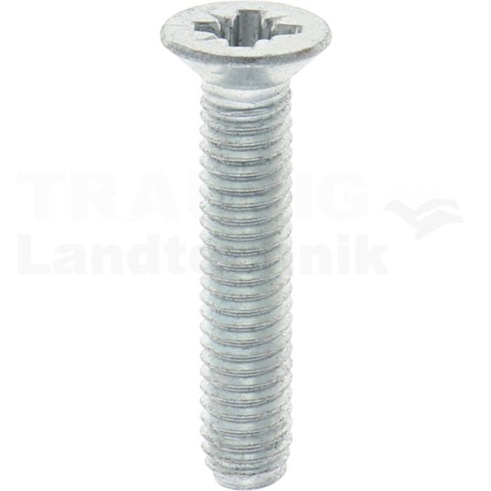 Gewindefurchende Schrauben M6x30 DIN7500