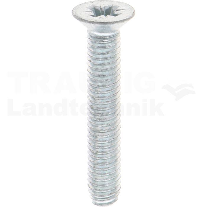 Gewindefurchende Schrauben M6x35 DIN7500