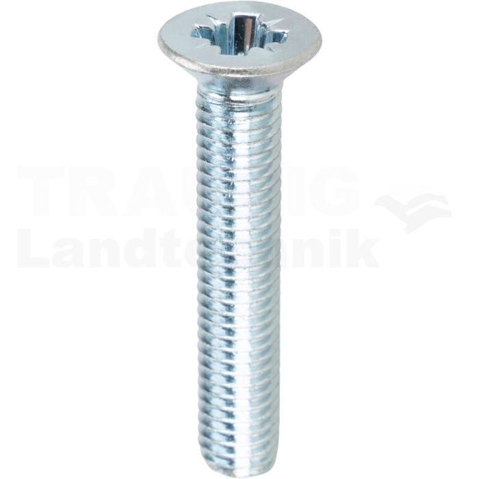Gewindefurchende Schrauben M8x45 DIN7500