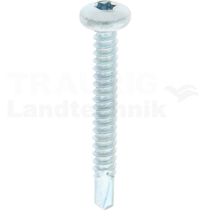 VPE500 Bohrschraube 5,5x45 DIN 7504