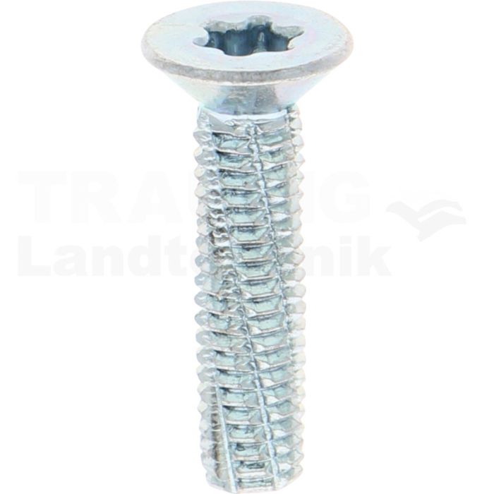 VPE500 Schneidschraube M6x25 DIN 7516 VPE500 Schneidschraube M6x25 DIN 7516