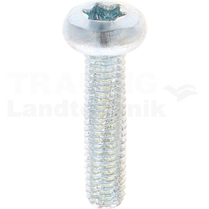 VPE500 Schneidschraube M6x25 DIN 7516 VPE500 Schneidschraube M6x25 DIN 7516