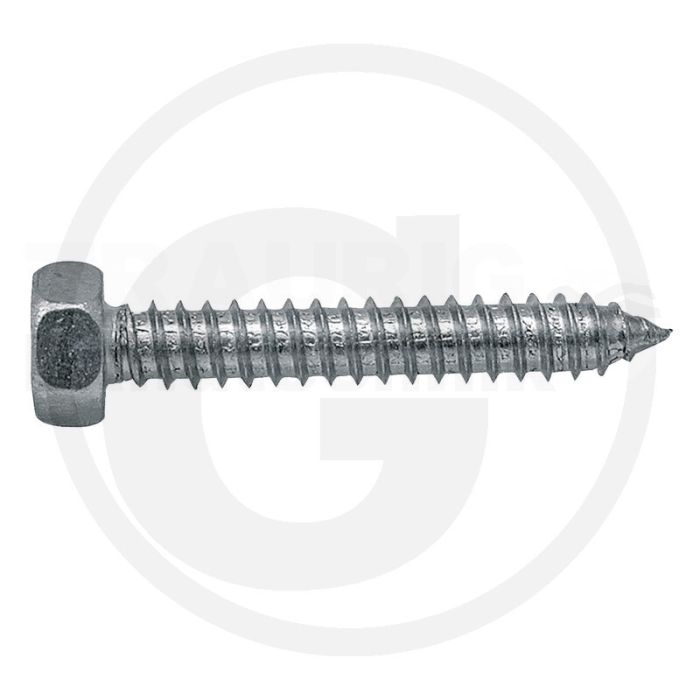 VPE250 Sechskantschraube M3x19 DIN 7976 VPE250 Sechskantschraube M3x19 DIN 7976