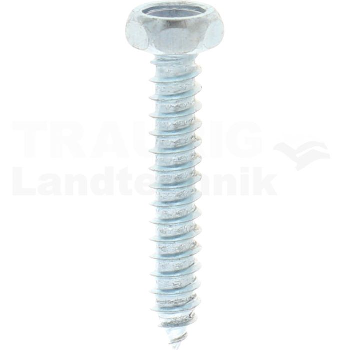 VPE250 Sechskantschraube M4x25 DIN 7976 VPE250 Sechskantschraube M4x25 DIN 7976