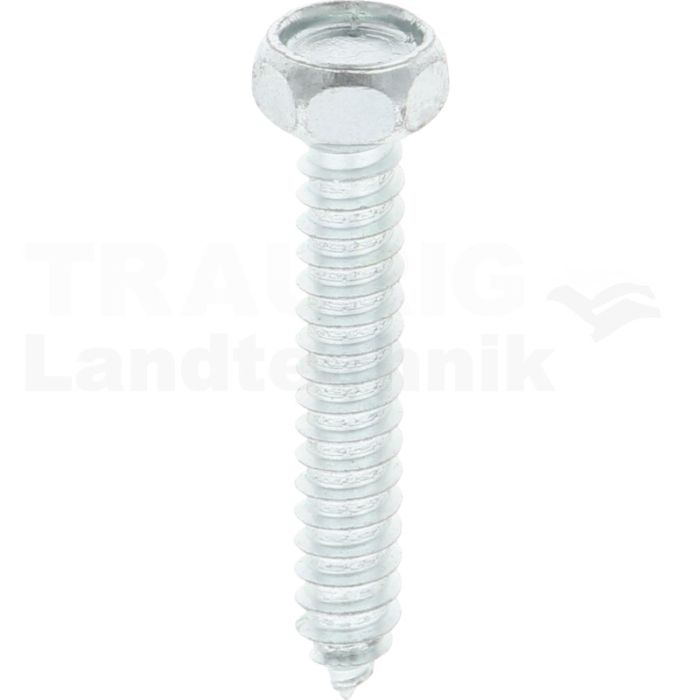 VPE250 Sechskantschraube M6x38 DIN 7976