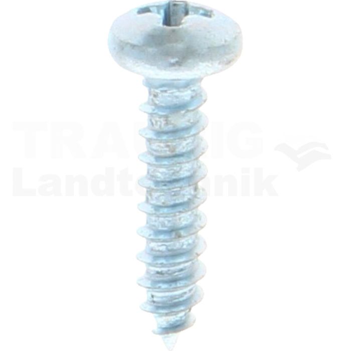 Linsen-Blechschraube 2,9x13 DIN 7981