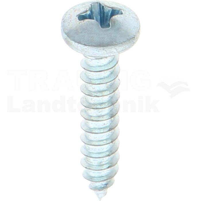 Linsen-Blechschraube 3,9x19 DIN 7981 Linsen-Blechschraube 3,9x19 DIN 7981