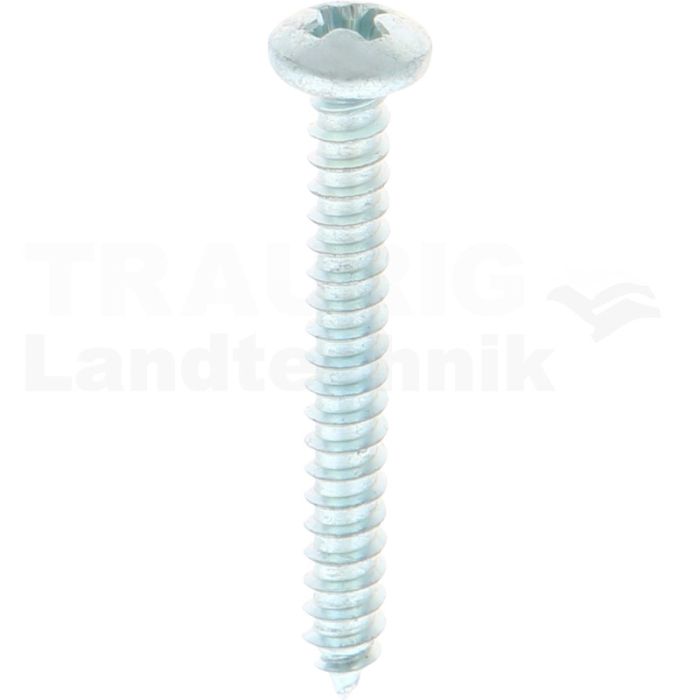 Linsen-Blechschraube 3,9x32 DIN 7981 Linsen-Blechschraube 3,9x32 DIN 7981