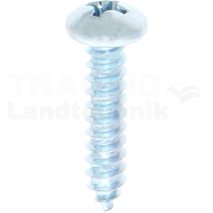 Linsen-Blechschraube 4,2x19 DIN 7981