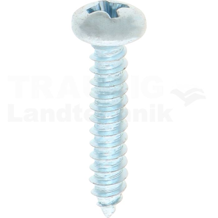 Linsen-Blechschraube 4,2x22 DIN 7981