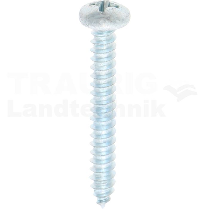 Linsen-Blechschraube 4,2x32 DIN 7981