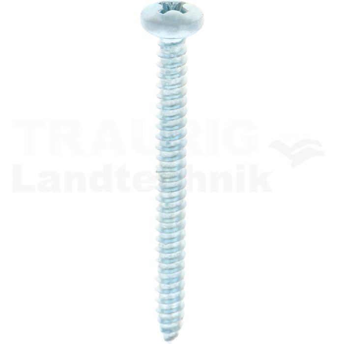 Linsen-Blechschraube 4,2x45 DIN 7981