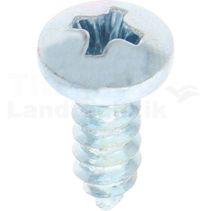 Linsen-Blechschraube 4,8x13 DIN 7981
