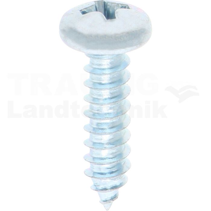 Linsen-Blechschraube 4,8x19 DIN 7981 Linsen-Blechschraube 4,8x19 DIN 7981
