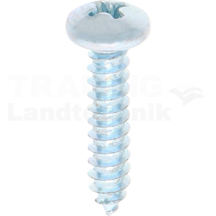 Linsen-Blechschraube 4,8x22 DIN 7981
