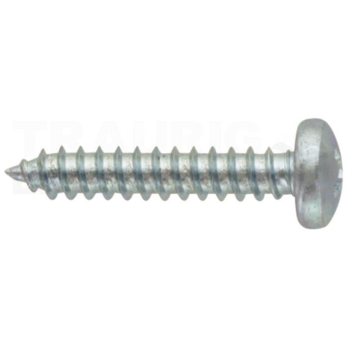 Linsen-Blechschraube 4,8x25 DIN 7981 Linsen-Blechschraube 4,8x25 DIN 7981
