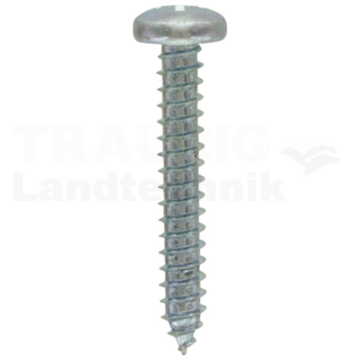 Linsen-Blechschraube 4,8x32 DIN 7981 Linsen-Blechschraube 4,8x32 DIN 7981