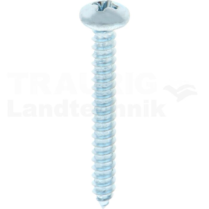 Linsen-Blechschraube 4,8x38 DIN 7981