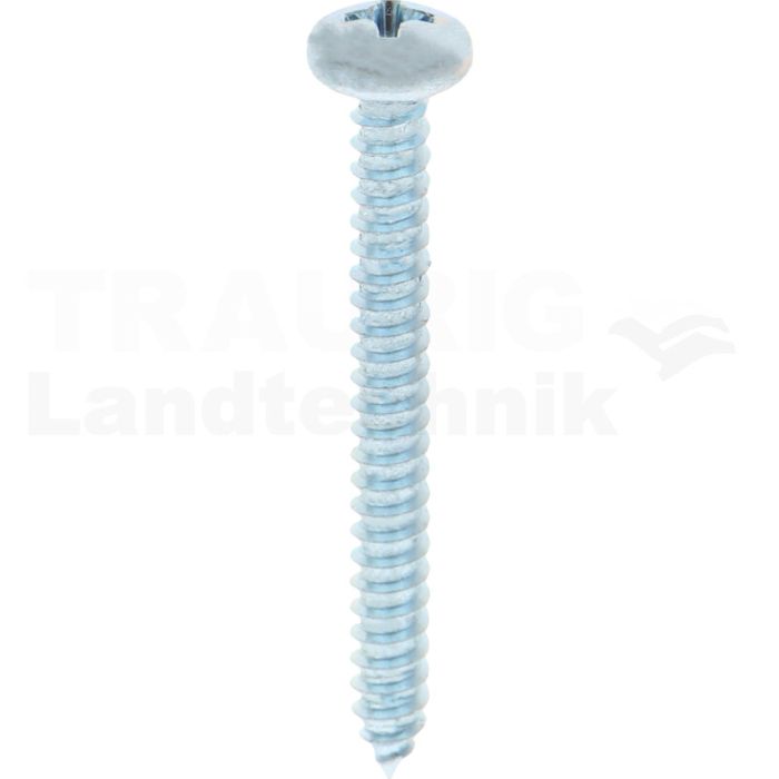 Linsen-Blechschraube 4,8x45 DIN 7981