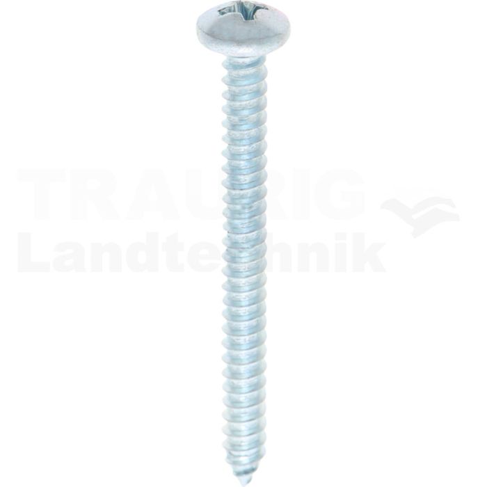 Linsen-Blechschraube 4,8x50 DIN 7981