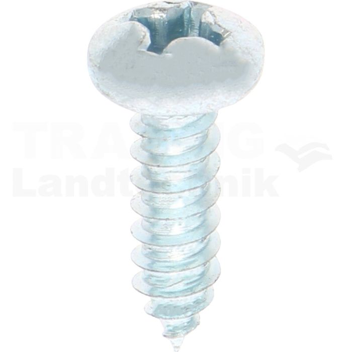 Linsen-Blechschraube 5,5x19 DIN 7981 Linsen-Blechschraube 5,5x19 DIN 7981