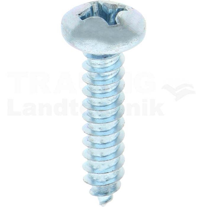 Linsen-Blechschraube 5,5x25 DIN 7981 Linsen-Blechschraube 5,5x25 DIN 7981