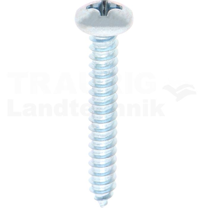 Linsen-Blechschraube 5,5x38 DIN 7981 Linsen-Blechschraube 5,5x38 DIN 7981