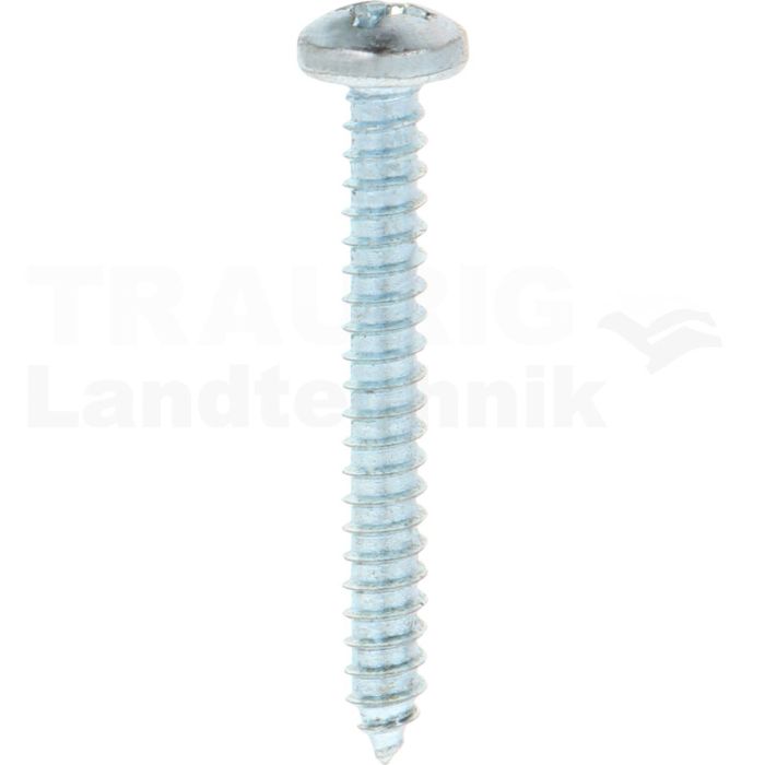Linsen-Blechschraube 5,5x45 DIN 7981