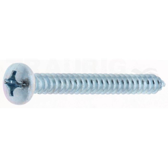 Linsen-Blechschraube 5,5x50 DIN 7981 Linsen-Blechschraube 5,5x50 DIN 7981