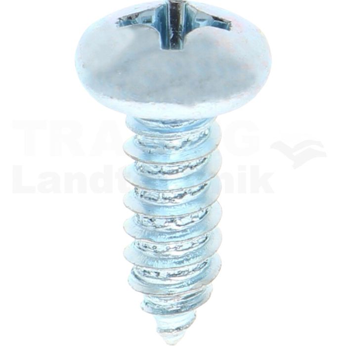 Linsen-Blechschraube 6,3x19 DIN 7981 Linsen-Blechschraube 6,3x19 DIN 7981