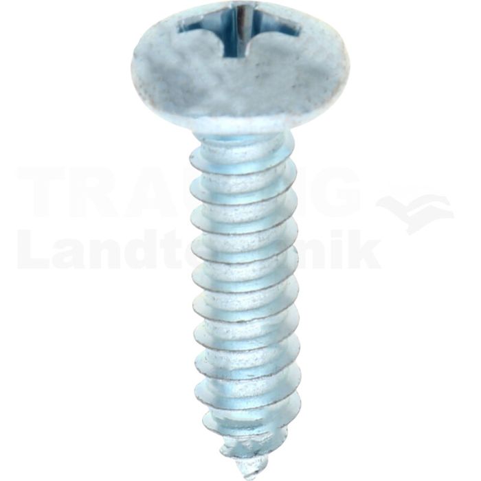 Linsen-Blechschraube 6,3x25 DIN 7981 Linsen-Blechschraube 6,3x25 DIN 7981