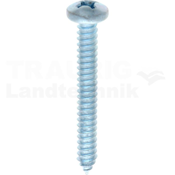 Linsen-Blechschraube 6,3x50 DIN 7981 Linsen-Blechschraube 6,3x50 DIN 7981