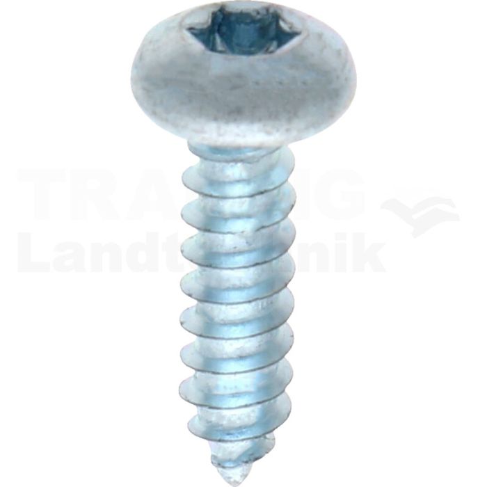 Linsen-Blechschraube 4,2x16 DIN 7981 Linsen-Blechschraube 4,2x16 DIN 7981