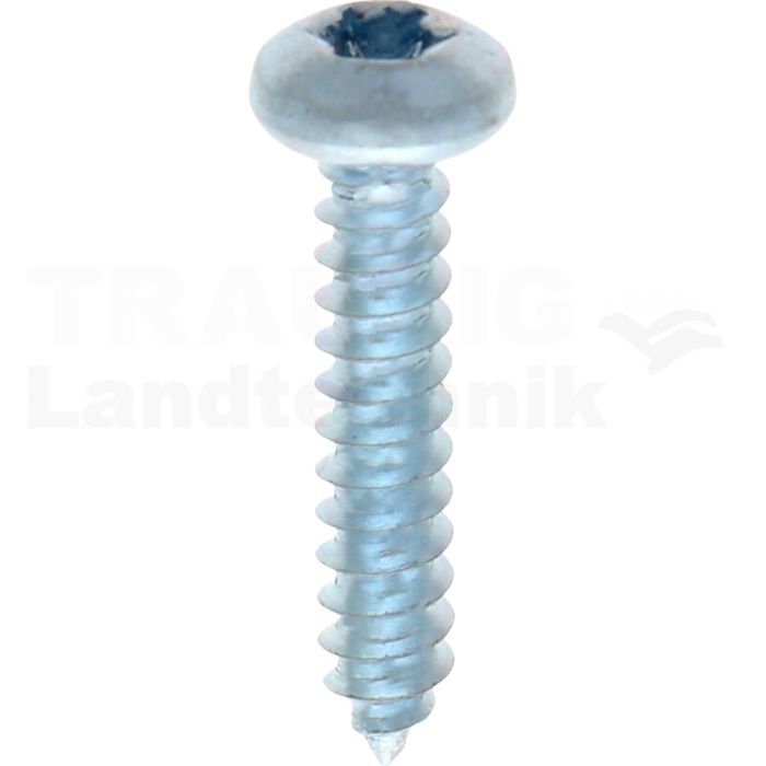 Linsen-Blechschraube 4,2x22 DIN 7981 Linsen-Blechschraube 4,2x22 DIN 7981