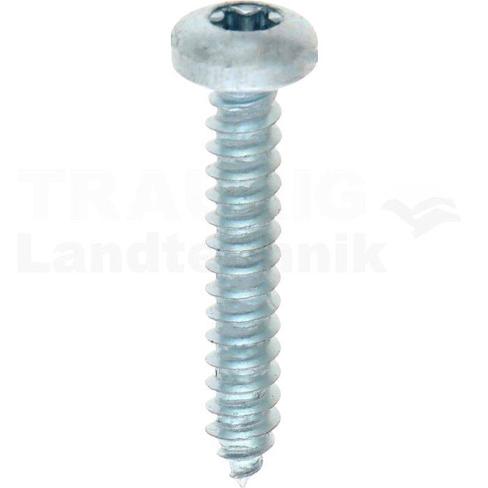 Linsen-Blechschraube 4,2x25 DIN 7981 Linsen-Blechschraube 4,2x25 DIN 7981