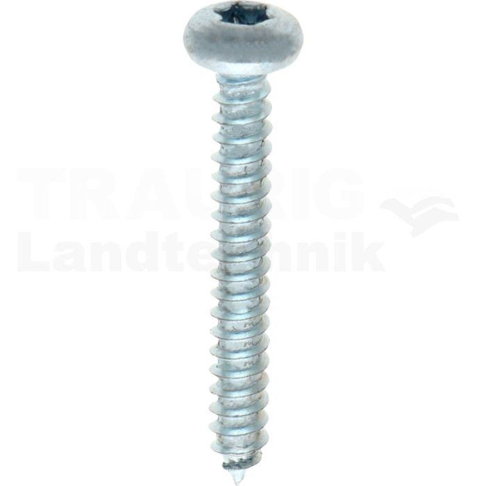Linsen-Blechschraube 4,2x32 DIN 7981 Linsen-Blechschraube 4,2x32 DIN 7981