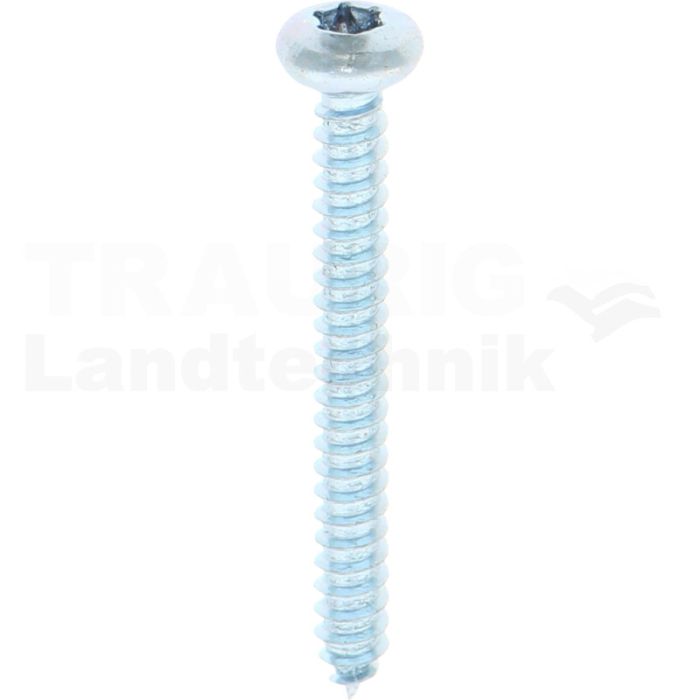 Linsen-Blechschraube 4,2x38 DIN 7981 Linsen-Blechschraube 4,2x38 DIN 7981