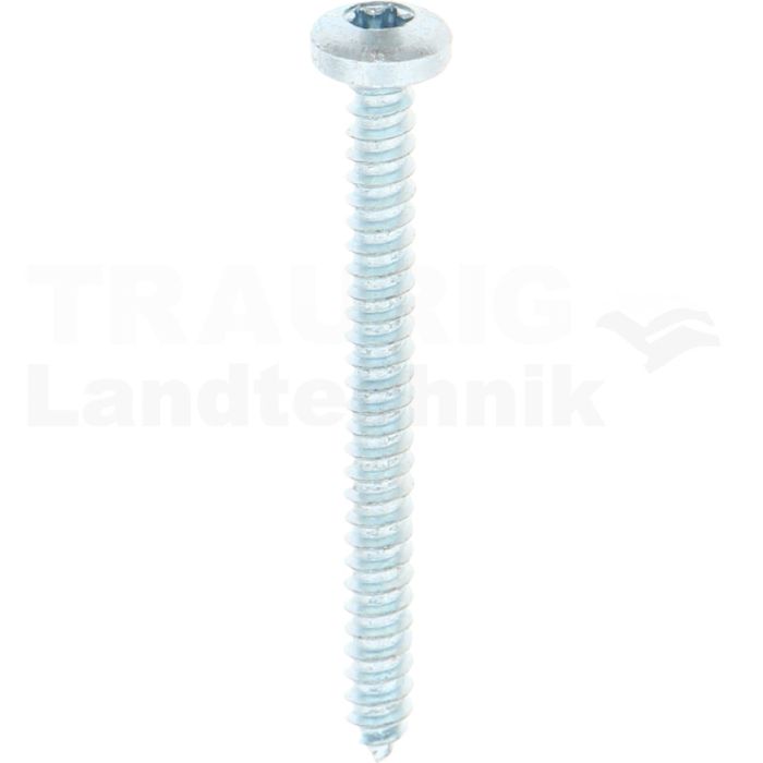 Linsen-Blechschraube 4,2x45 DIN 7981