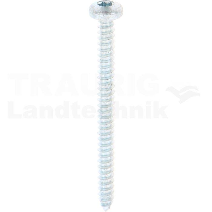 Linsen-Blechschraube 4,2x50 DIN 7981 Linsen-Blechschraube 4,2x50 DIN 7981