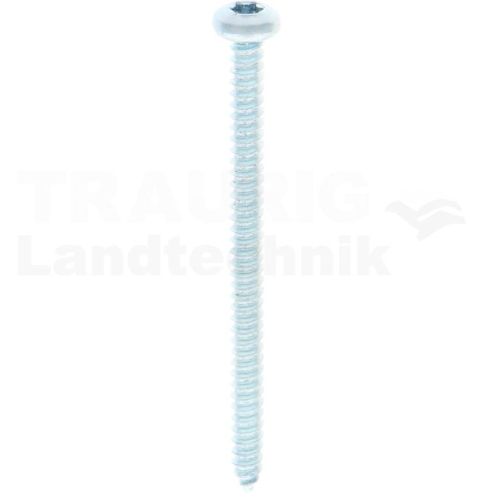 Linsen-Blechschraube 4,2x60 DIN 7981