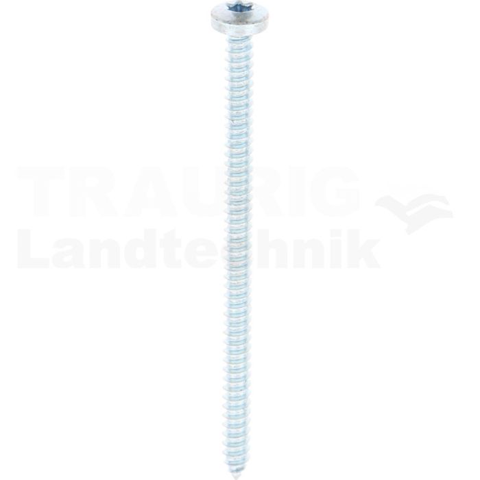 Linsen-Blechschraube 4,2x70 DIN 7981 Linsen-Blechschraube 4,2x70 DIN 7981