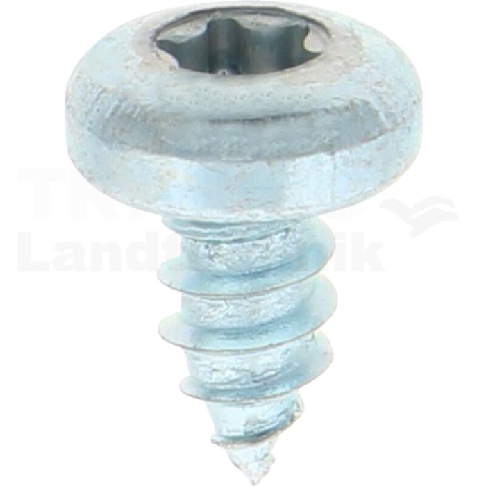 Linsen-Blechschraube 4,8x9,5 DIN 7981 Linsen-Blechschraube 4,8x9,5 DIN 7981