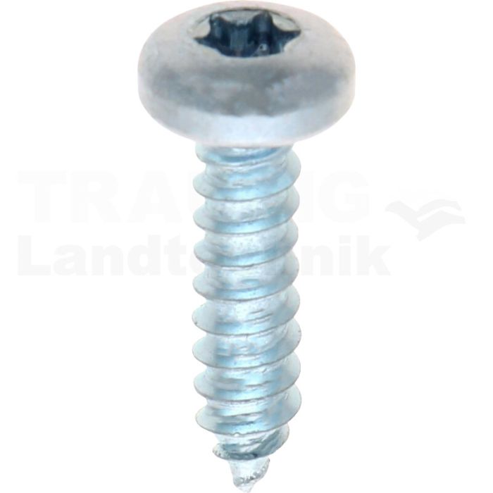 Linsen-Blechschraube 4,8x19 DIN 7981